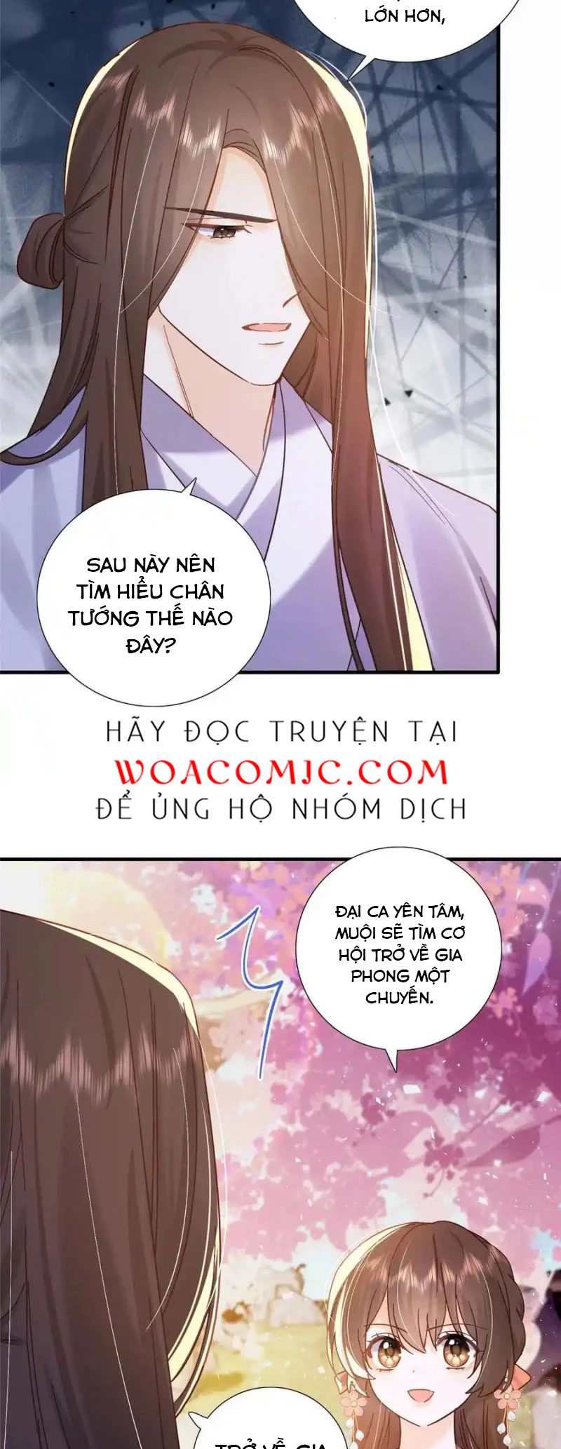 Thiều Quang Mạn Chapter 162 - Trang 4