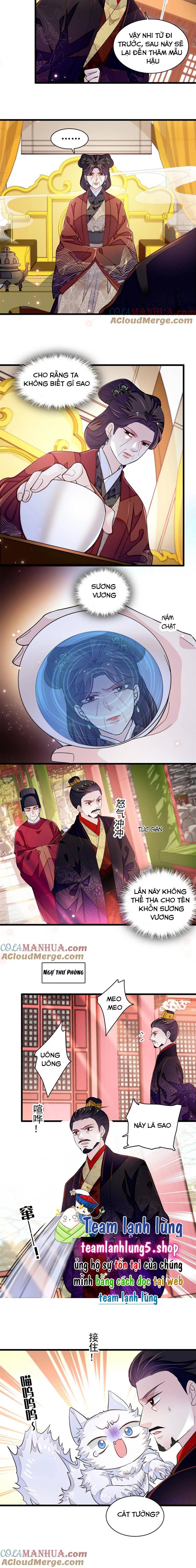 Tự Cẩm Chapter 334 - Trang 4