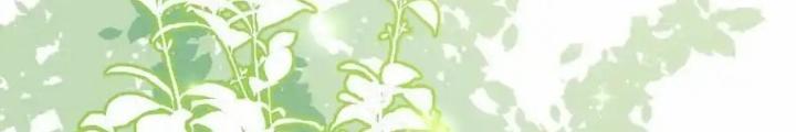 Tiểu Manh Bảo Bốn Tuổi Theo Sư Phụ Xuống Núi Chapter 341 - Trang 3