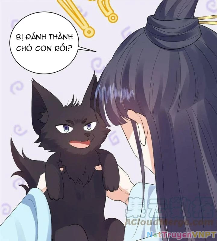Trở Thành Lão Đại Từ Việc Tiêu Tiền Chapter 94 - Trang 3