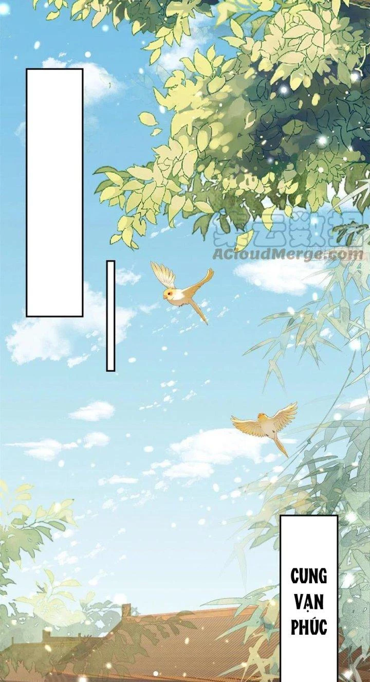 Trở Thành Lão Đại Từ Việc Tiêu Tiền Chapter 67 - Trang 3