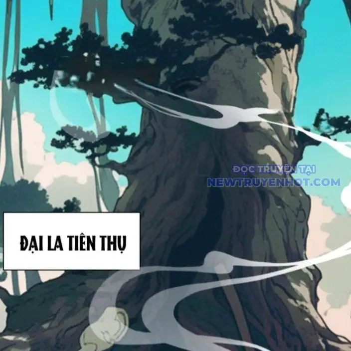 Gặp Mạnh Thì Càng Mạnh, Tu Vi Của Ta Không Giới Hạn Nettruyen ZZZ Chương 17 Page 5
