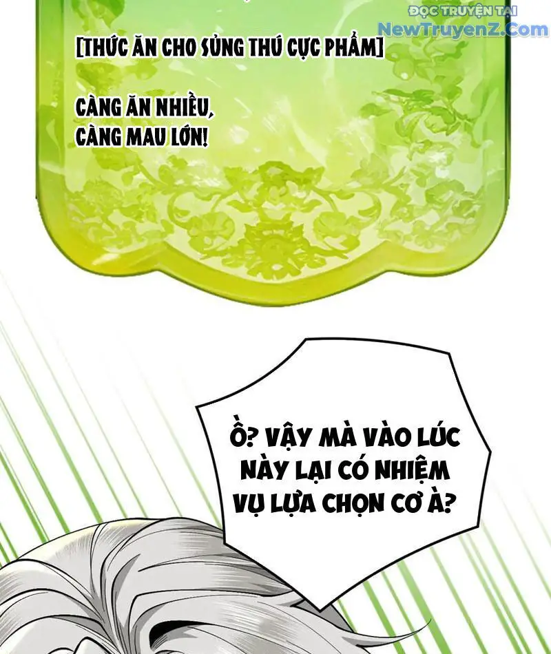 Gặp Mạnh Thì Càng Mạnh, Tu Vi Của Ta Không Giới Hạn Nettruyen ZZZ Chương 36 Page 129