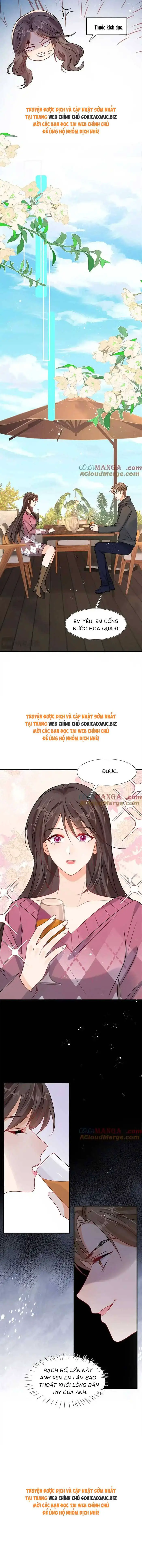 Cùng Lục Gia Yêu Đương Vụng Trộm Nettruyen ZZZ Chương 102 Page 7