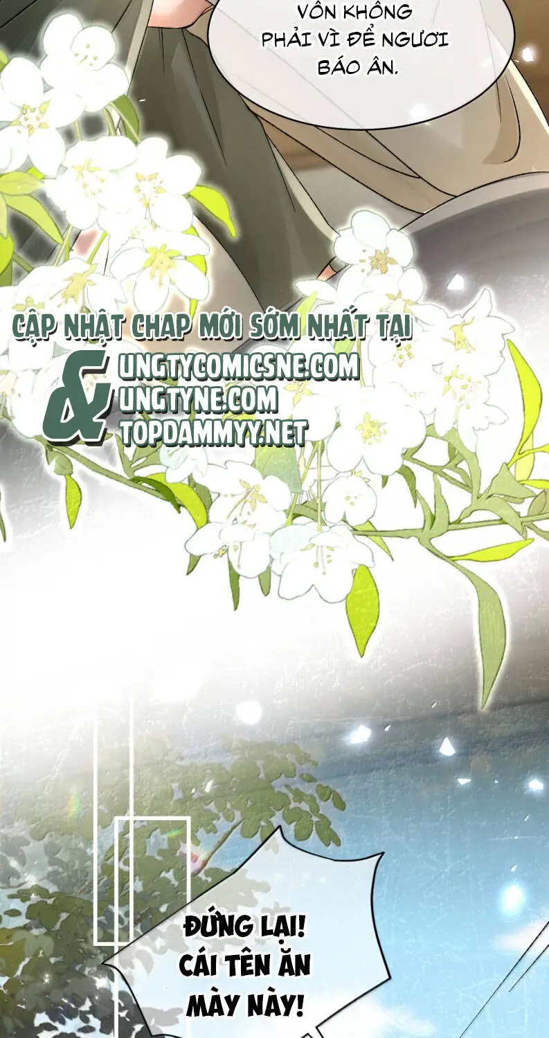 Hải Vương Sau Khi Hoàn Lương Sa Vào Tu La Tràng Nettruyen ZZZ Chương 31 Page 31