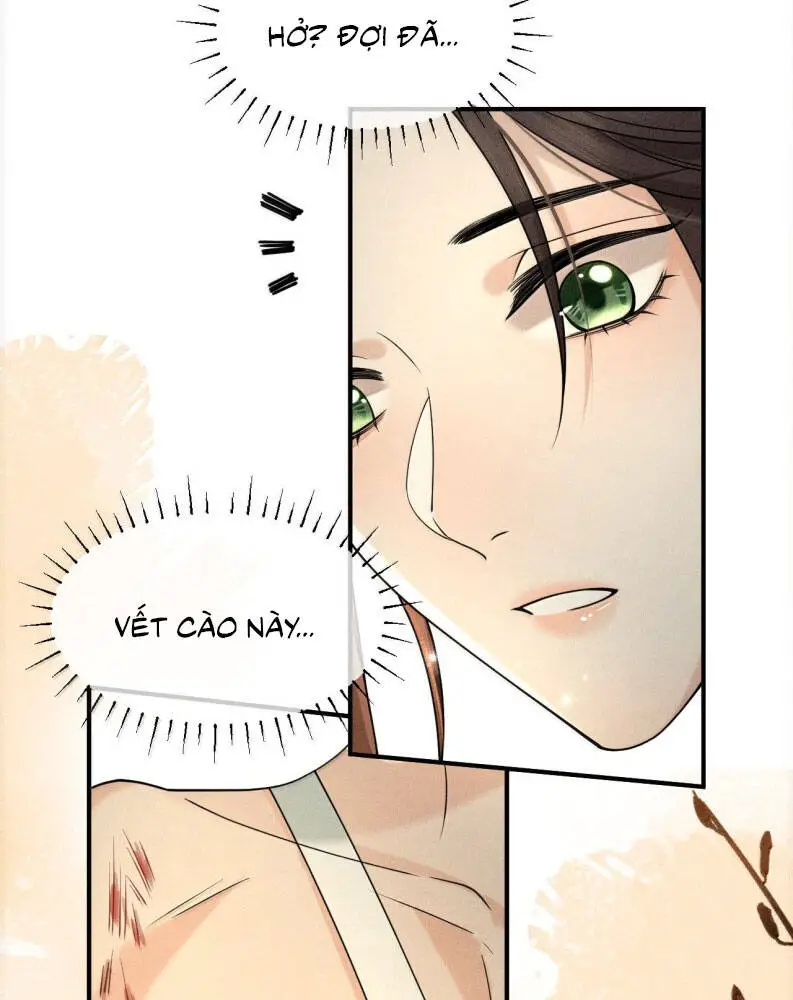 Hải Vương Sau Khi Hoàn Lương Sa Vào Tu La Tràng Nettruyen ZZZ Chương 16 Page 14