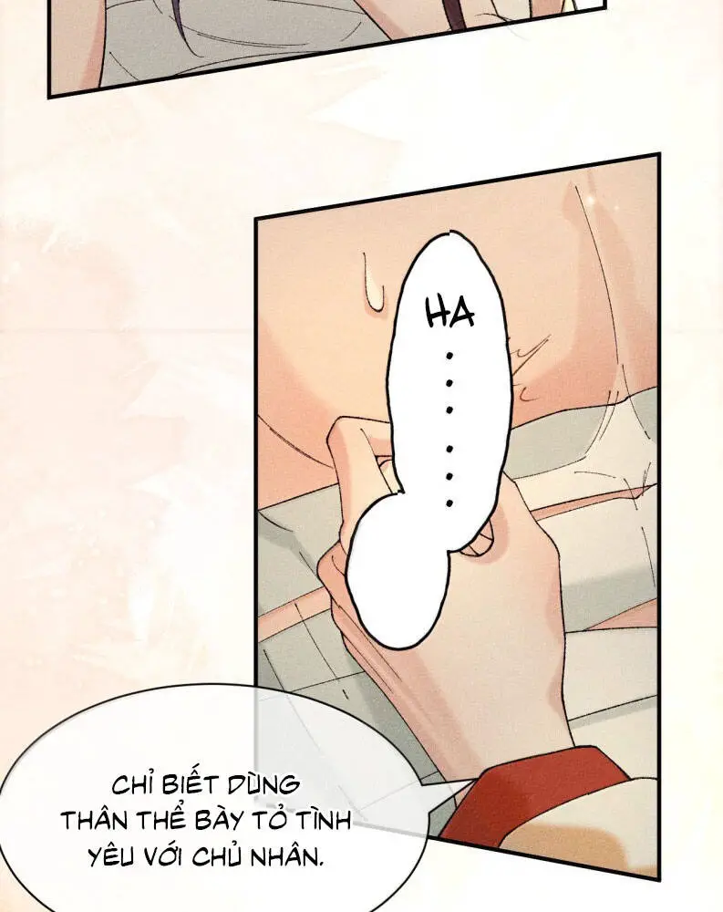 Hải Vương Sau Khi Hoàn Lương Sa Vào Tu La Tràng Nettruyen ZZZ Chương 16 Page 31