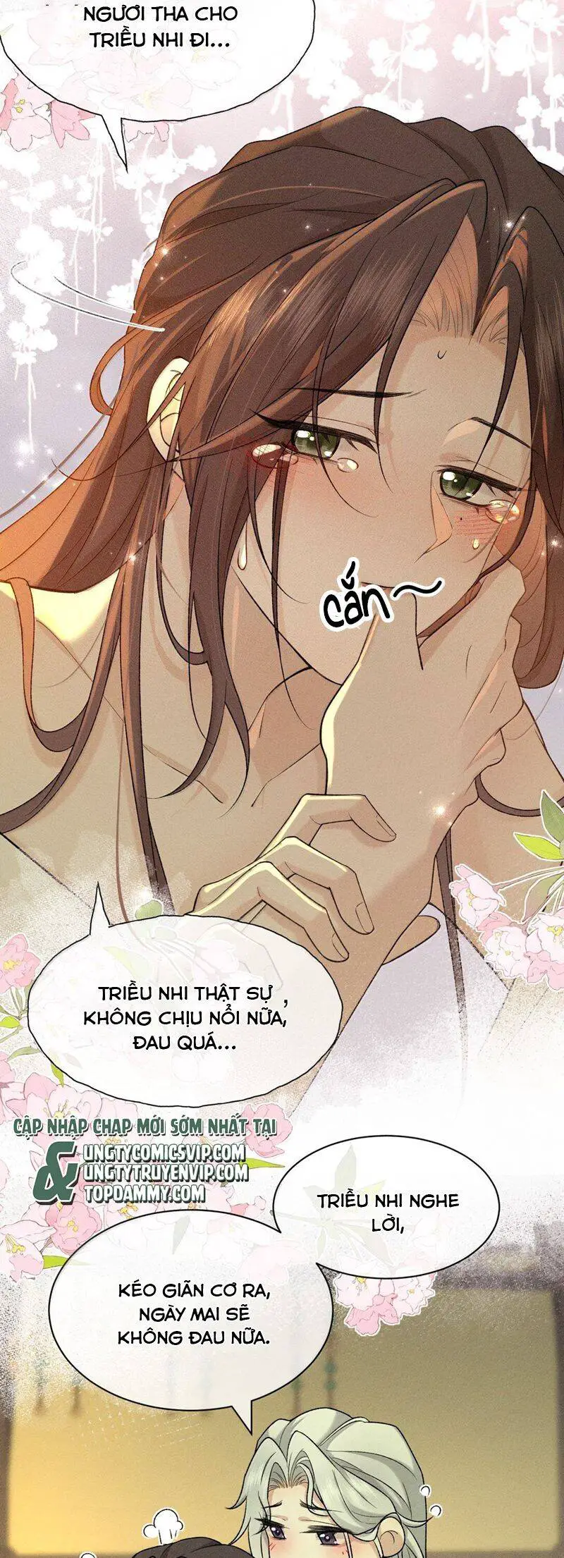 Hải Vương Sau Khi Hoàn Lương Sa Vào Tu La Tràng Nettruyen ZZZ Chương 15 Page 25