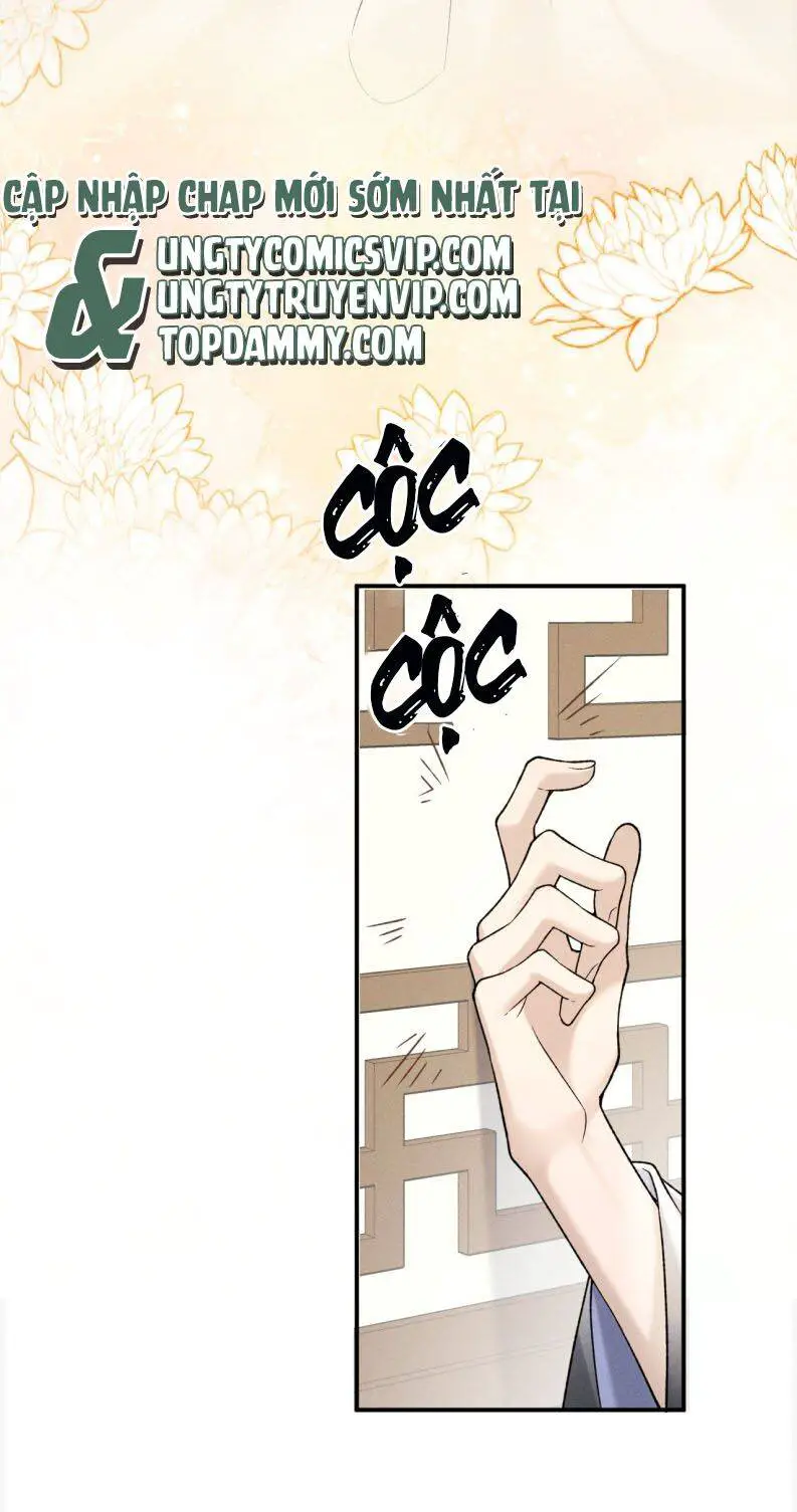 Hải Vương Sau Khi Hoàn Lương Sa Vào Tu La Tràng Nettruyen ZZZ Chương 4 Page 49