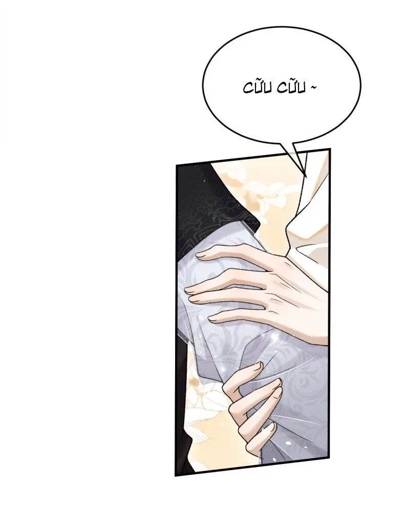 Hải Vương Sau Khi Hoàn Lương Sa Vào Tu La Tràng Nettruyen ZZZ Chương 3 Page 29