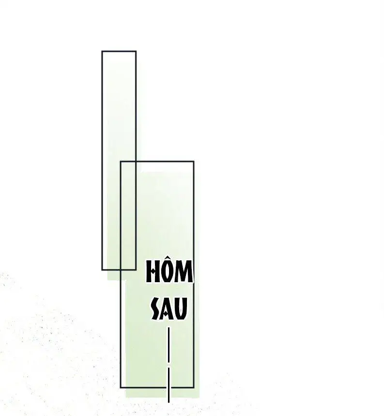 Hải Vương Sau Khi Hoàn Lương Sa Vào Tu La Tràng Nettruyen ZZZ Chương 3 Page 48