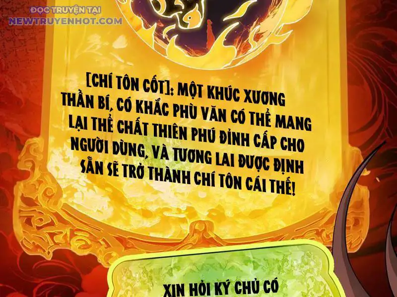 Gặp Mạnh Thì Càng Mạnh, Tu Vi Của Ta Không Giới Hạn Nettruyen ZZZ Chương 11 Page 3