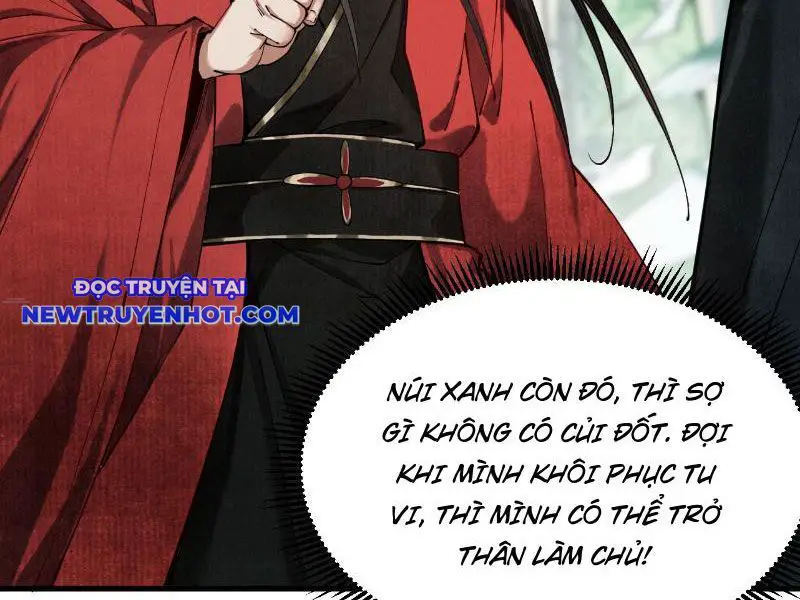 Gặp Mạnh Thì Càng Mạnh, Tu Vi Của Ta Không Giới Hạn Nettruyen ZZZ Chương 5 Page 7