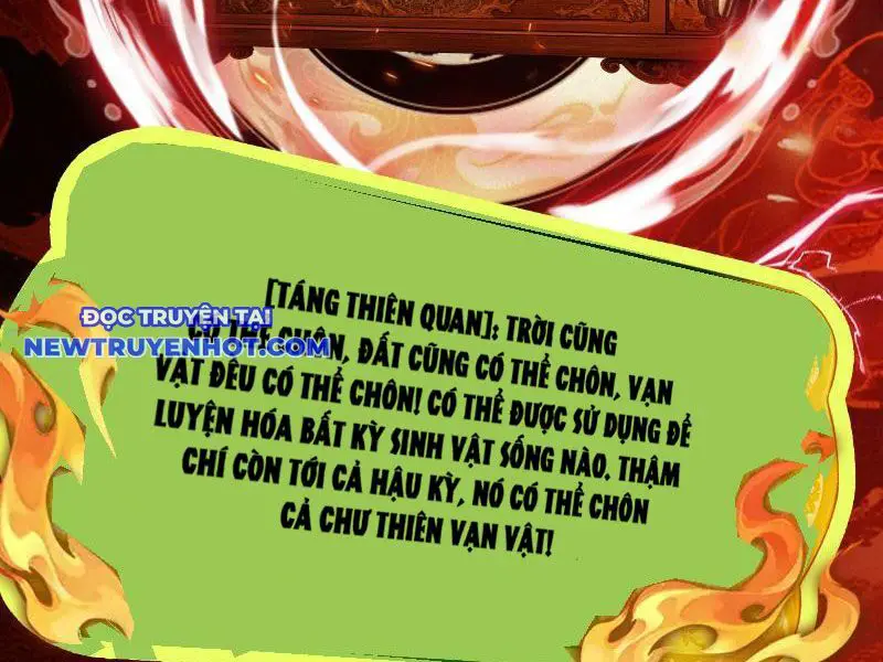 Gặp Mạnh Thì Càng Mạnh, Tu Vi Của Ta Không Giới Hạn Nettruyen ZZZ Chương 5 Page 24