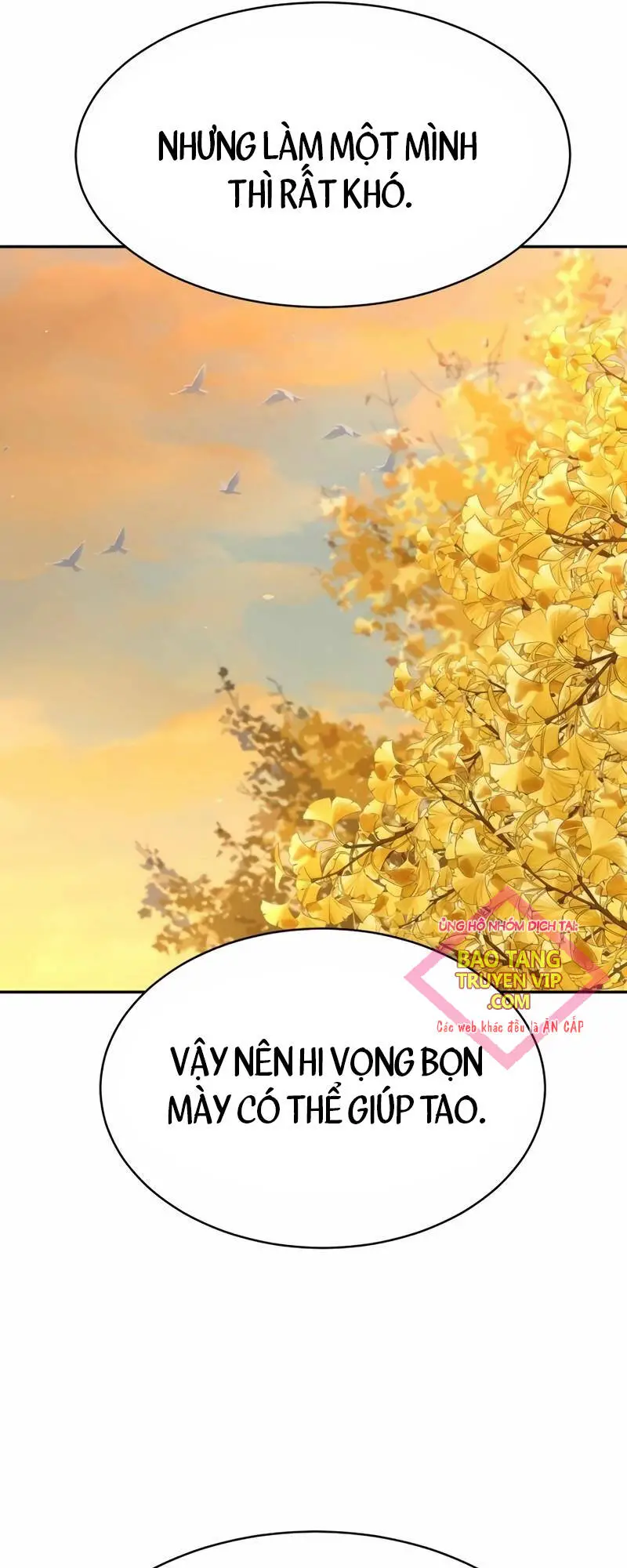 Cháu Trai Thiên Tài Của Vua Cho Vay Nặng Lãi Nettruyen ZZZ Chương 8 Page 13