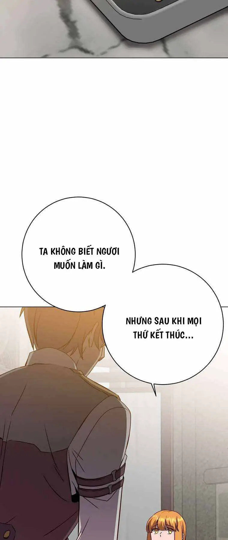 Anh Hùng Mạnh Nhất Trở Lại Nettruyen ZZZ Chương 161 Page 47