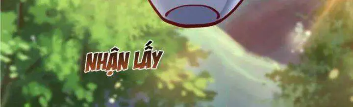 Chí Tôn Hoàn Mỹ Nettruyen ZZZ Chương 17 Page 184
