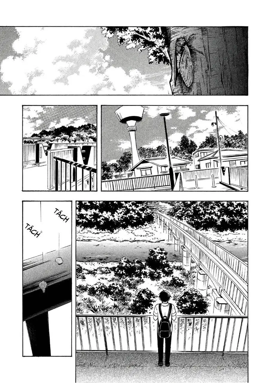 Watari-Kun No Xx Ga Houkai Sunzen Nettruyen ZZZ Chương 38 Page 8
