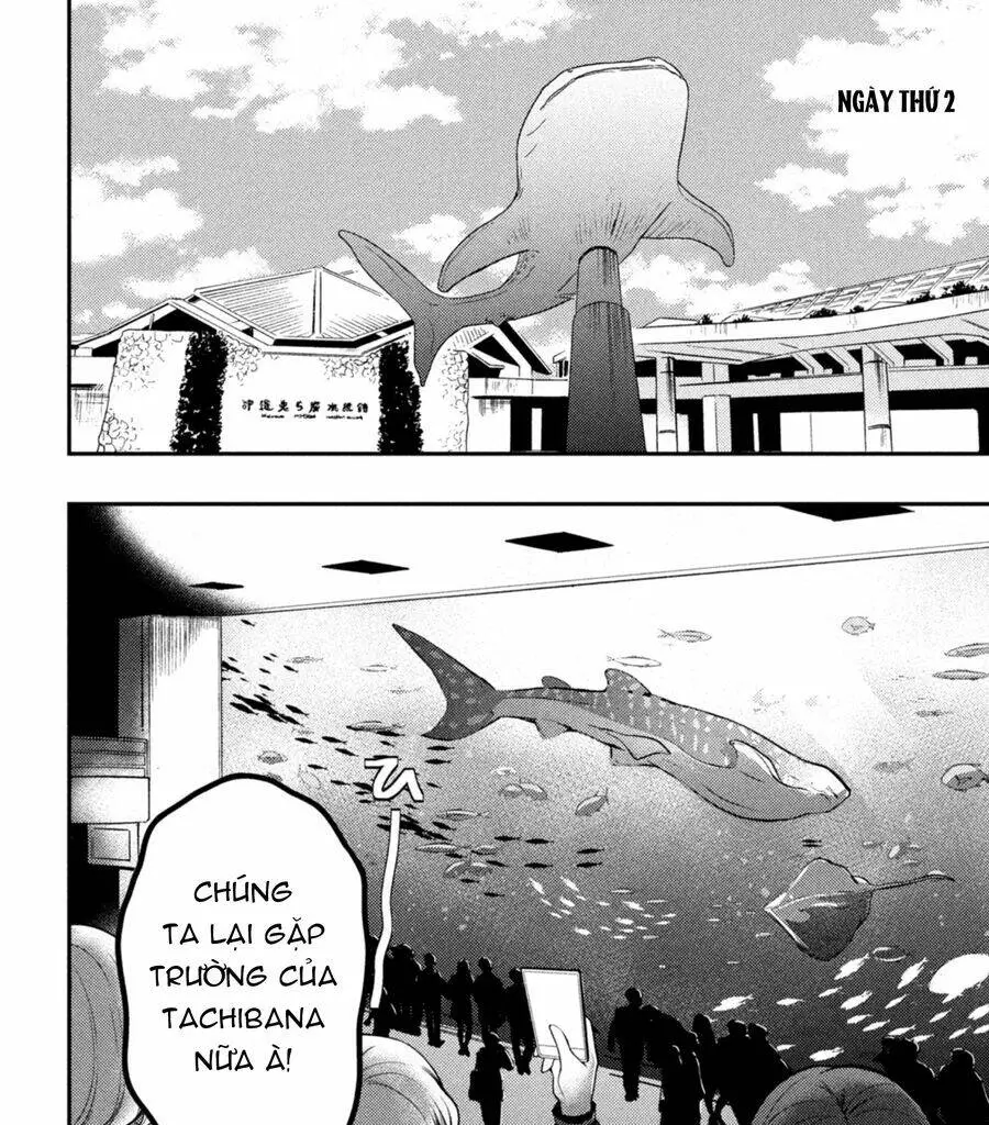Watari-Kun No Xx Ga Houkai Sunzen Nettruyen ZZZ Chương 71.5 Page 13