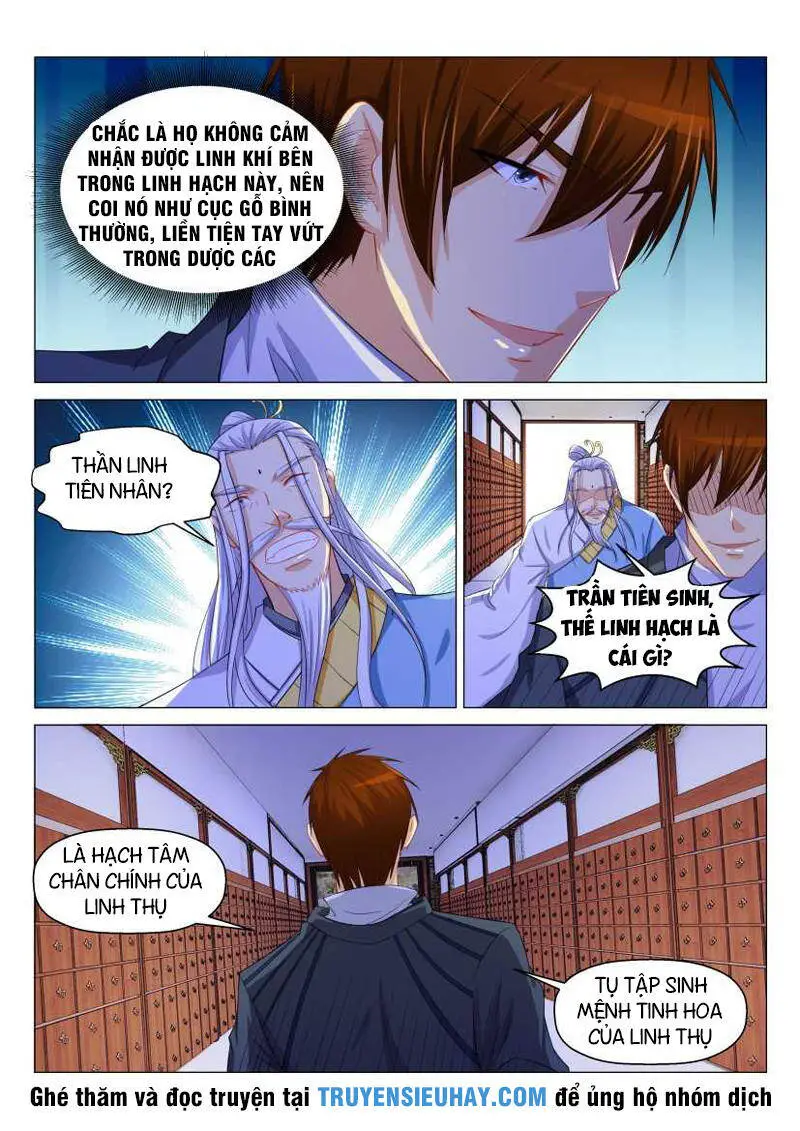 Trọng Sinh Đô Thị Tu Tiên Nettruyen ZZZ Chương 130 Page 8