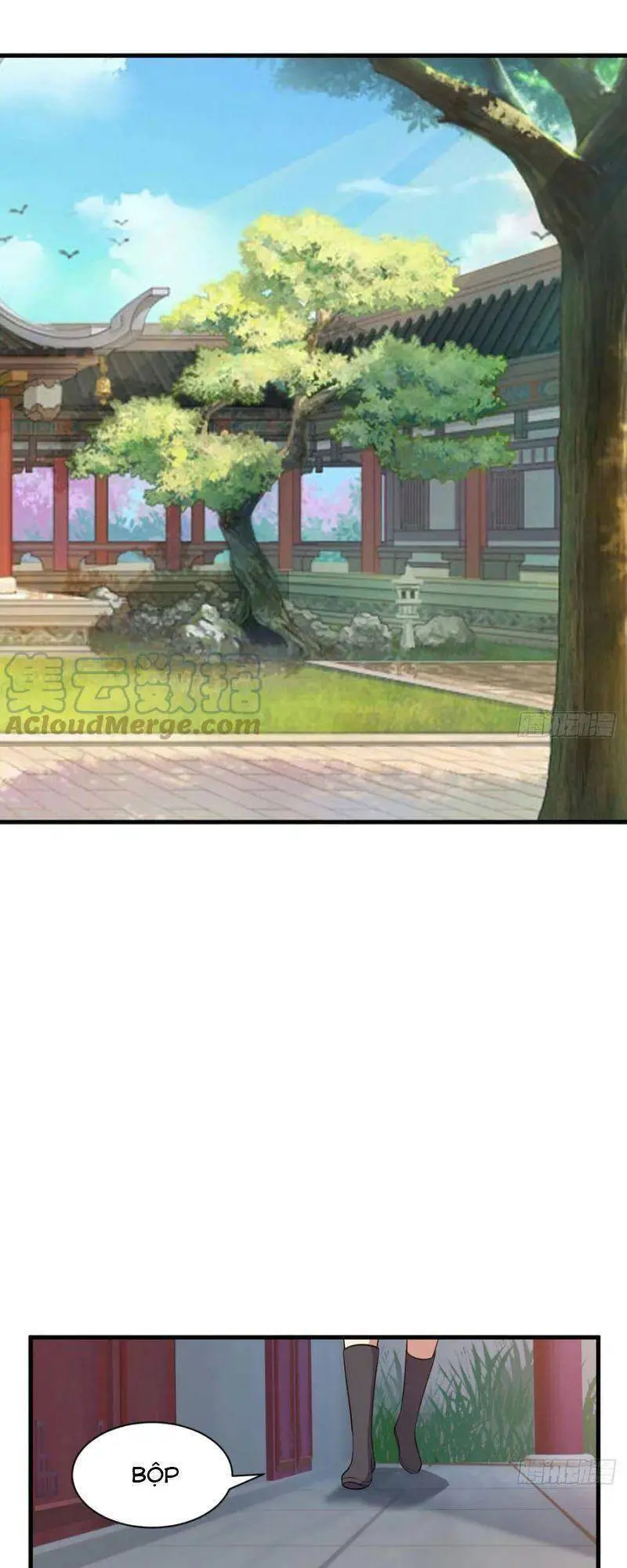 Ta Chỉ Muốn Bị Các Vị Đánh Chết Nettruyen ZZZ Chương 63 Page 5