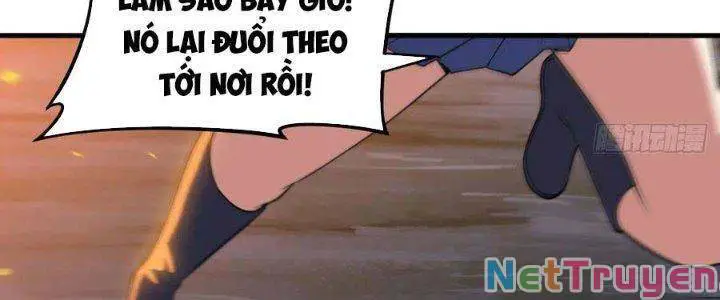 Ta Chỉ Muốn Bị Các Vị Đánh Chết Nettruyen ZZZ Chương 70 Page 36