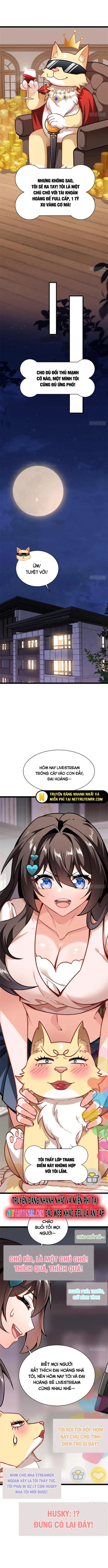 Kế Hoạch Bồi Dưỡng Streamer Của Cẩu Hoàng Nettruyen ZZZ Chương 3 Page 4