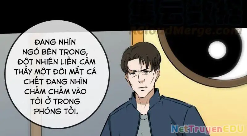 Kiếp Thiên Vận Nettruyen ZZZ Chương 187 Page 22