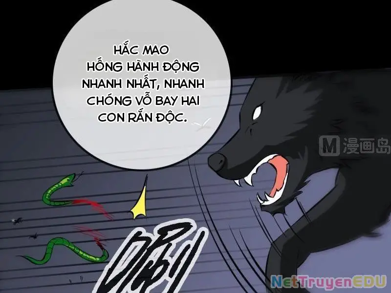 Kiếp Thiên Vận Nettruyen ZZZ Chương 175 Page 33
