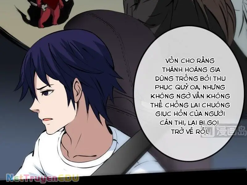 Kiếp Thiên Vận Nettruyen ZZZ Chương 172 Page 3