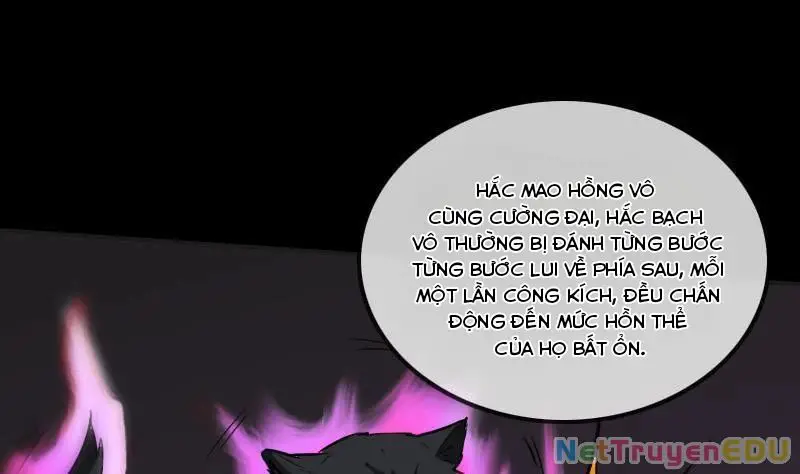 Kiếp Thiên Vận Nettruyen ZZZ Chương 170 Page 24