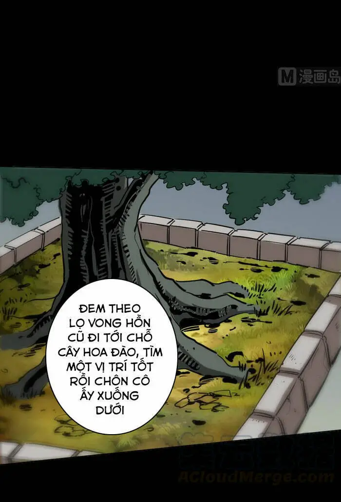 Kiếp Thiên Vận Nettruyen ZZZ Chương 85 Page 13