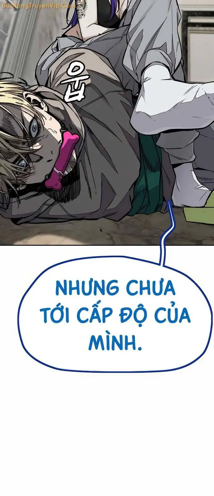Thể Thao Cực Hạn Nettruyen ZZZ Chương 534 Page 31
