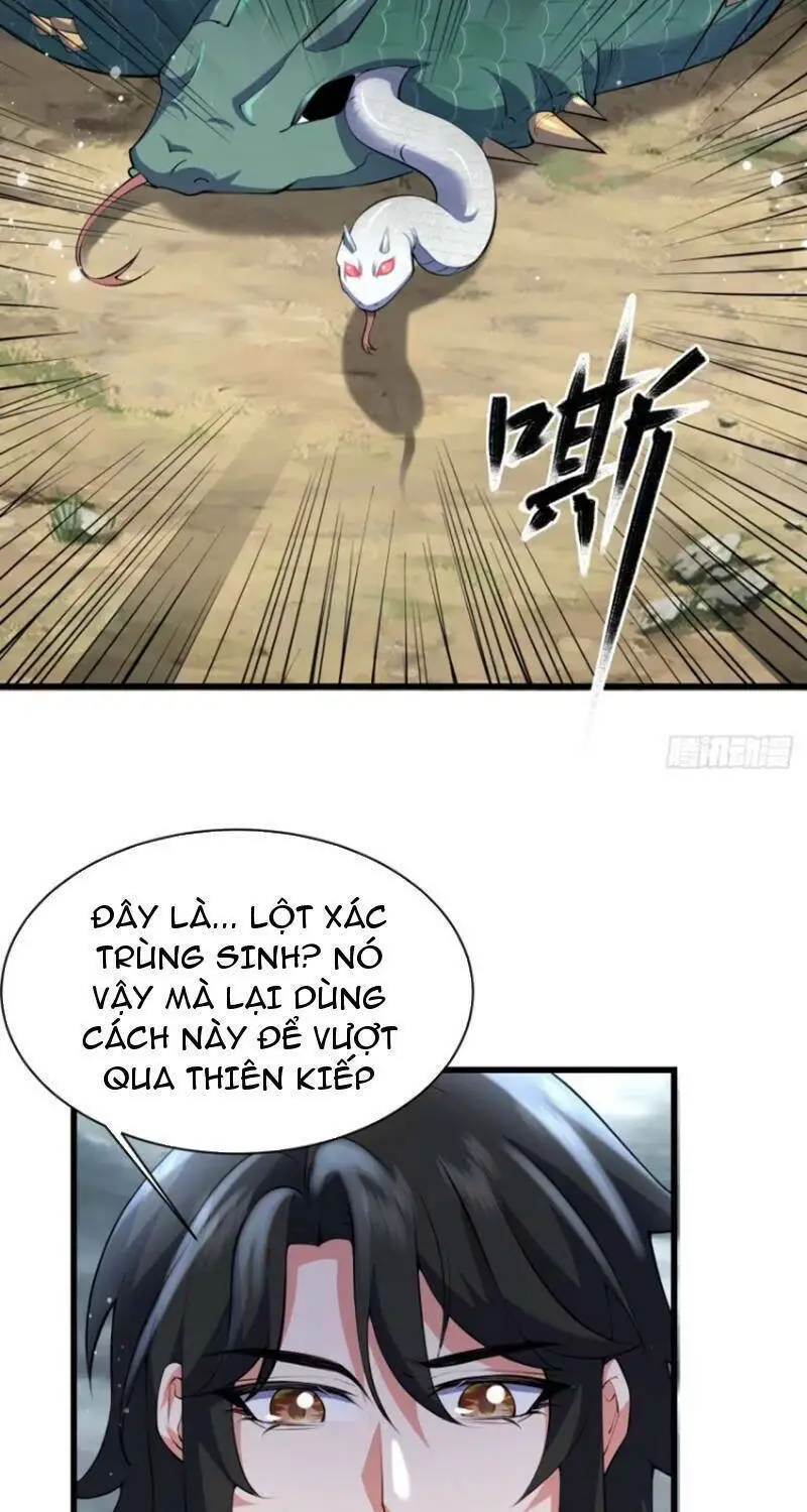 Thê Tử Của Ta Là Đại Lão Đại Thừa Kỳ Nettruyen ZZZ Chương 44 Page 23