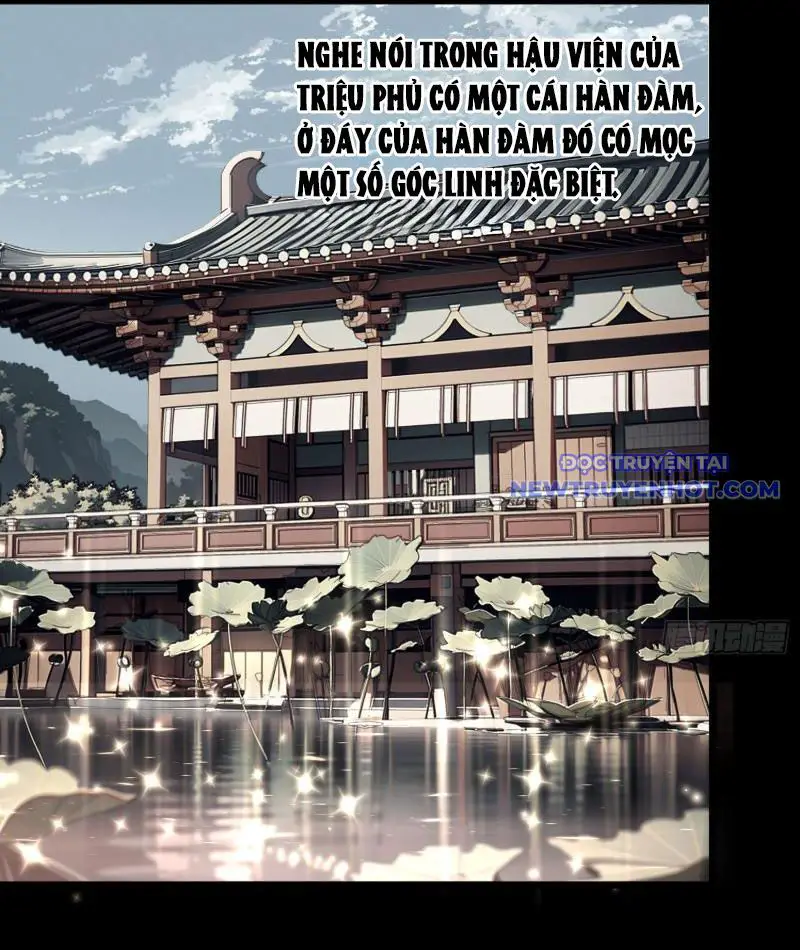 Thành Thần Bắt Đầu Từ Thủy Hầu Tử Nettruyen ZZZ Chương 4 Page 39