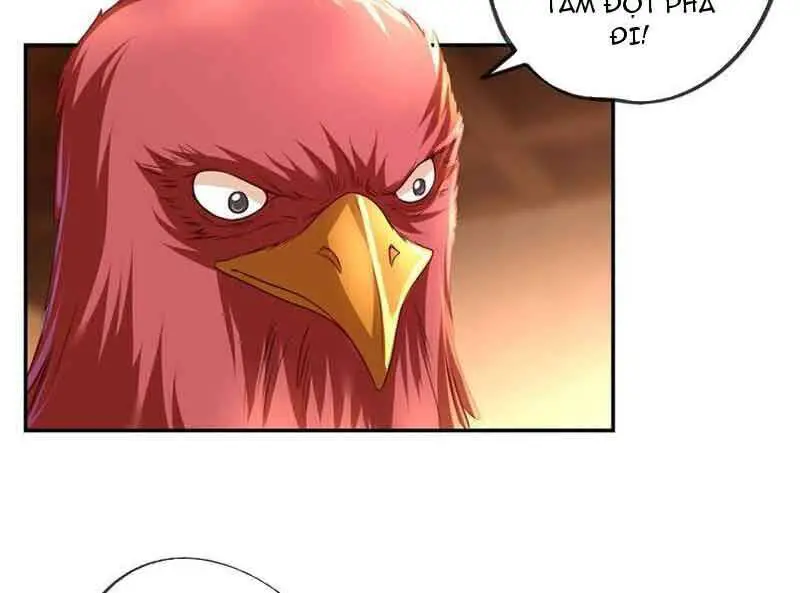 Ta Có Thể Đốn Ngộ Vô Hạn Nettruyen ZZZ Chương 73 Page 29