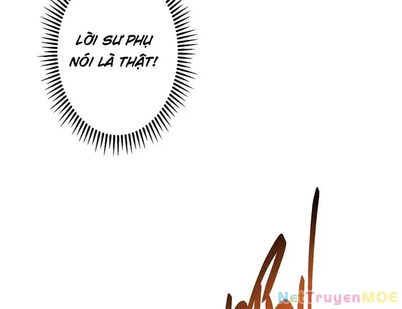 Chưởng Môn Khiêm Tốn Chút Nettruyen ZZZ Chương 478 Page 13