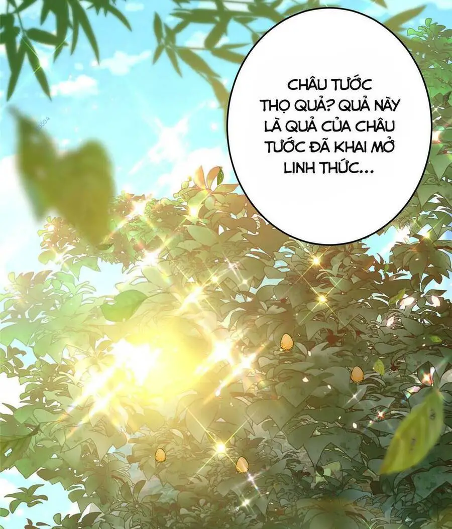 Chưởng Môn Khiêm Tốn Chút Nettruyen ZZZ Chương 183 Page 37