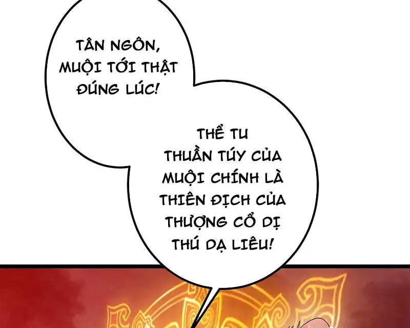 Chưởng Môn Khiêm Tốn Chút Nettruyen ZZZ Chương 422 Page 56