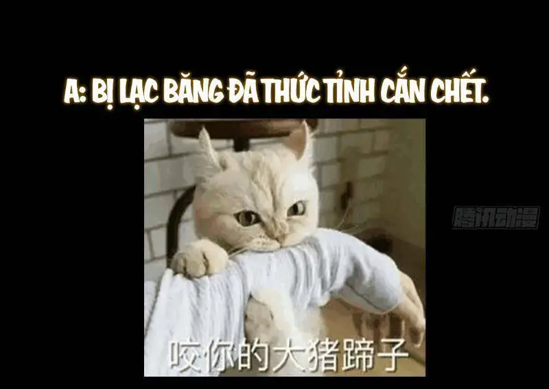 Chưởng Môn Khiêm Tốn Chút Nettruyen ZZZ Chương 396 Page 51