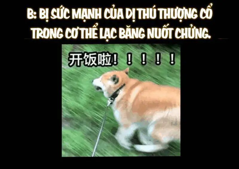 Chưởng Môn Khiêm Tốn Chút Nettruyen ZZZ Chương 396 Page 52