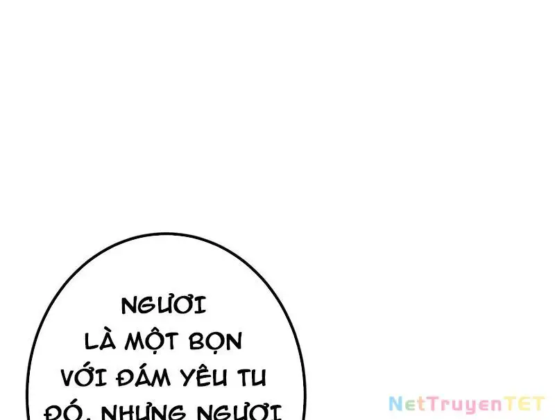 Chưởng Môn Khiêm Tốn Chút Nettruyen ZZZ Chương 469 Page 46