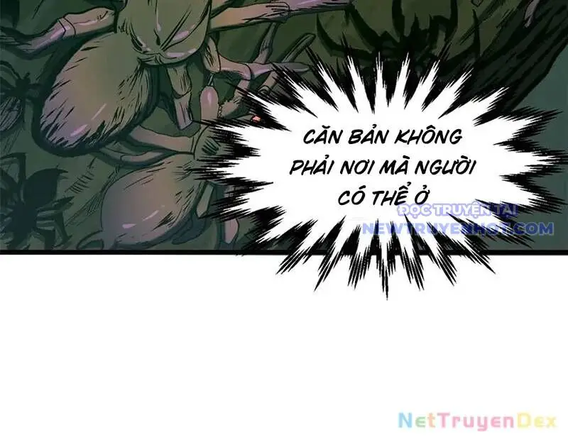 Đỉnh Cấp Khí Vận, Lặng Lẽ Tu Luyện Ngàn Năm Nettruyen ZZZ Chương 197 Page 19