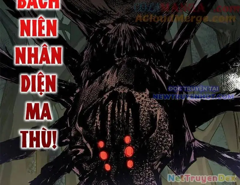 Đỉnh Cấp Khí Vận, Lặng Lẽ Tu Luyện Ngàn Năm Nettruyen ZZZ Chương 197 Page 28