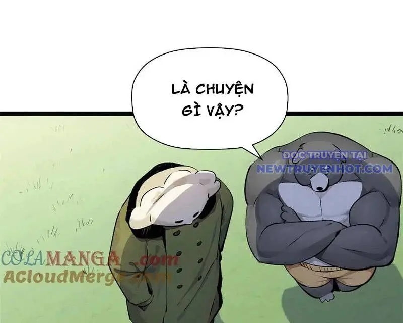 Đỉnh Cấp Khí Vận, Lặng Lẽ Tu Luyện Ngàn Năm Nettruyen ZZZ Chương 194 Page 144