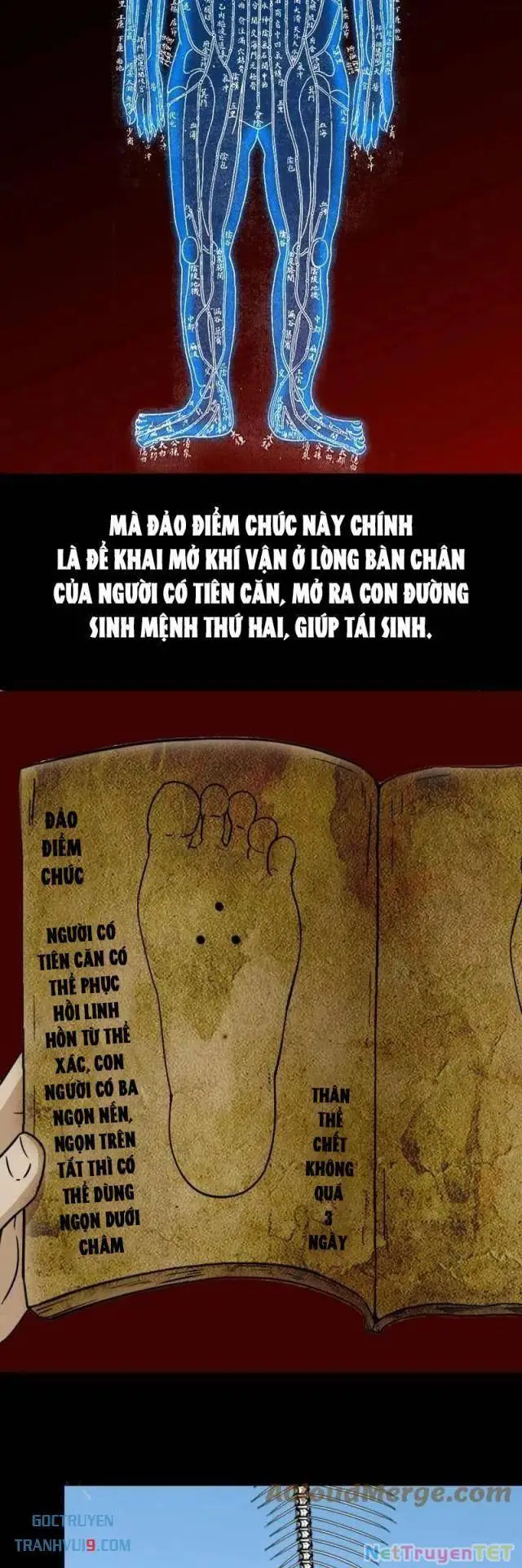 Đấu Yếm Thần Nettruyen ZZZ Chương 279 Page 29