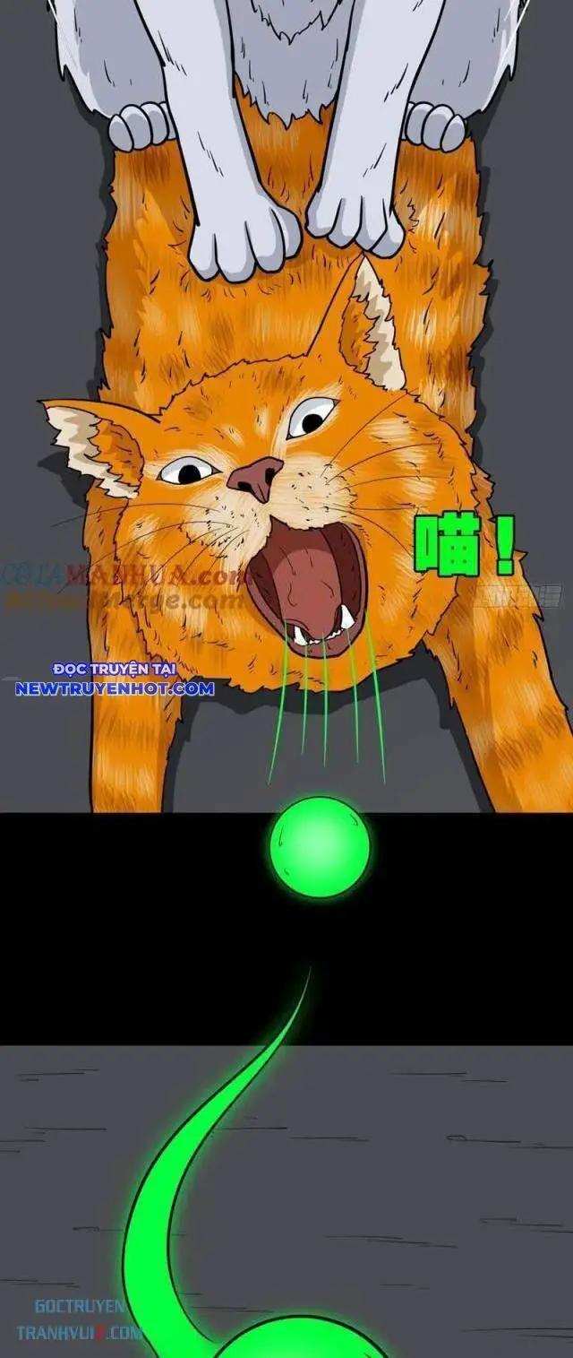 Đấu Yếm Thần Nettruyen ZZZ Chương 174 Page 35