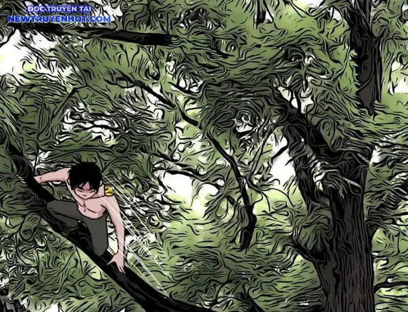 Đấu Yếm Thần Nettruyen ZZZ Chương 233 Page 52