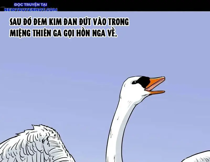 Đấu Yếm Thần Nettruyen ZZZ Chương 227 Page 13