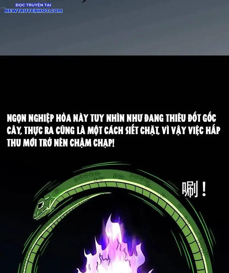 Đấu Yếm Thần Nettruyen ZZZ Chương 224 Page 5